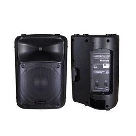 Westa WSS-1000 10 inç 2 Yollu Pasif Hoparlör