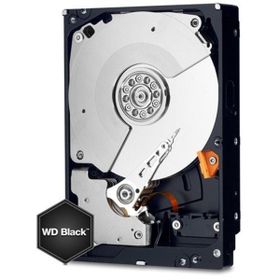 Western Digital 2TB WD2003FZEX Sabit Disk