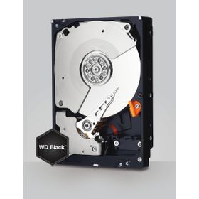 Western Digital Black 4TB WD4004FZWX Sabit Disk
