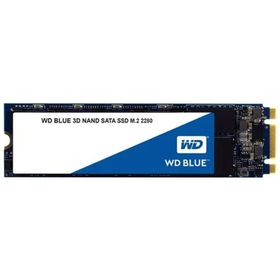 Western Digital Blue WDS500G2B0B 500 GB 560-530 MB/s SSD Sabit Disk