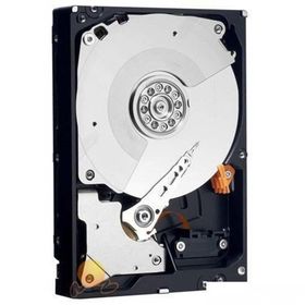 Western Digital Caviar Blue 320GB WD3200AAJS Sabit Disk