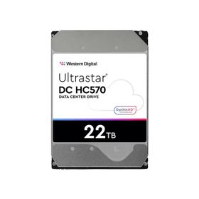 Western Digital HC570 Ultrastar DC 22 TB 3.5 inç 7200RPM 512 MB 0F48155 Hard Disk
