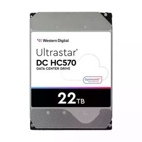 Western Digital HC570 Ultrastar DC 22 TB 3.5 inç 7200RPM 512 MB 0F48155 Hard Disk