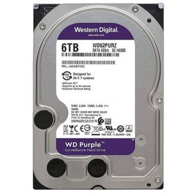 Western Digital Purple WD62PURZ SATA 3.0 5400 RPM 3.5" 6 TB Harddisk