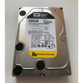 Western Digital RE3 500GB WD5002ABYS Sabit Disk