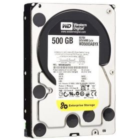 Western Digital RE3 500GB WD5002ABYS Sabit Disk