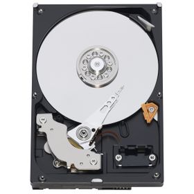 Western Digital RE3 500GB WD5002ABYS Sabit Disk