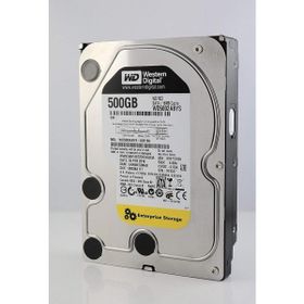 Western Digital RE3 500GB WD5002ABYS Sabit Disk