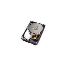 Western Digital WD400BD 40GB Sabit Disk