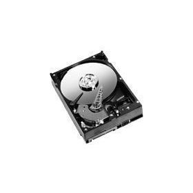 Western Digital WD400BD 40GB Sabit Disk