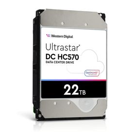 Western Digital WUH722222ALE6L4 Ultrastar 3.5 inç 22 TB 512 MB 7200 RPM 7/24 Enterprise DATA Center HDD