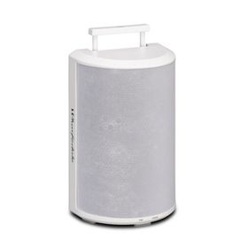 Wharfedale Tandem Speaker