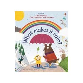 What Makes It Rain?-Usborne Publishing