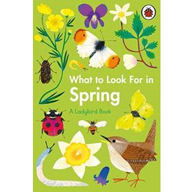 What To Look For In Spring - Ladybird