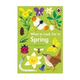 What To Look For In Spring - Ladybird