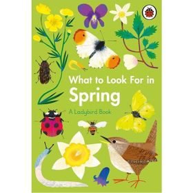 What To Look For In Spring - Ladybird