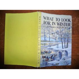 What To Look For In Winter - Ladybird