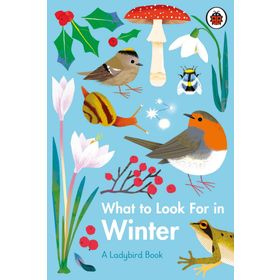 What To Look For In Winter - Ladybird