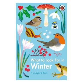 What To Look For In Winter - Ladybird