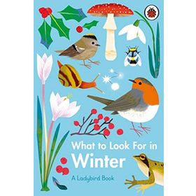 What To Look For In Winter - Ladybird