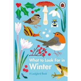 What To Look For In Winter - Ladybird