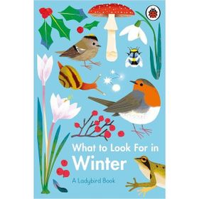 What To Look For In Winter - Ladybird