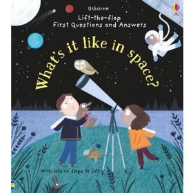 What's It Like In Space Lift The Flap First Q A-Usborne Publishing