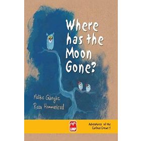 Where Has The Moon Gone? - Reza Hemmatirad Melike Günyüz