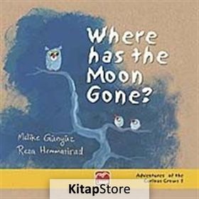 Where Has The Moon Gone? - Reza Hemmatirad Melike Günyüz