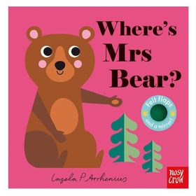Where Is Mrs Bear?-Nosy Crow Publishing