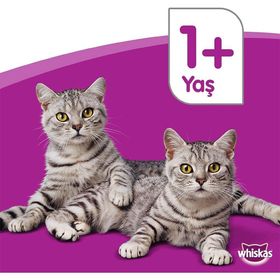 Whiskas Tavuk Etli Yavru 14x300 gr Kedi Maması