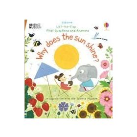 Why Does The Sun Shine?-Usborne Publishing