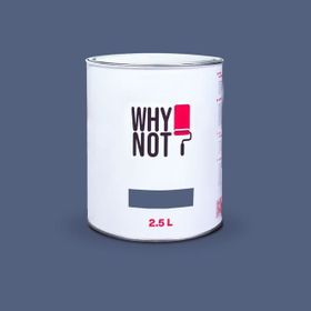 Whynot? Orion 2.5 lt İç Cephe Duvar Boyası
