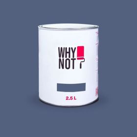 Whynot? Orion 2.5 lt İç Cephe Duvar Boyası