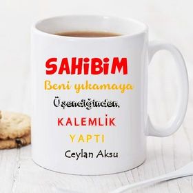 Wildlebend Pi49 Beni Yıka Kişiye Özel Kupa