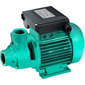 Wılo Initial Peripheral Pv 50 Tek Kademeli Periferik Pompa