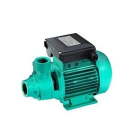 Wılo Initial Peripheral Pv 50 Tek Kademeli Periferik Pompa