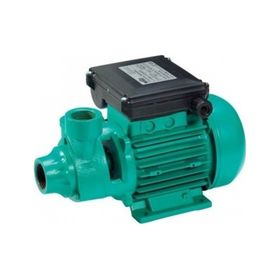 Wilo PV 30 M 0.5 HP Periferik Pompa