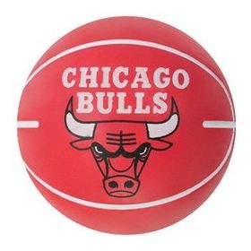 Wilson NBA Dribbler WTB1100PDQCHI Mini Basketbol Topu