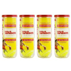 Wilson WRT100101 Champ Xd Tball 3 Ball Can Tenis Topu