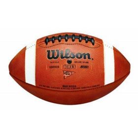 Wilson WTF1233B GST Practice FB 1003 Pattern Bulk Amerikan Futbol Topu