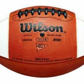 Wilson WTF1233B GST Practice FB 1003 Pattern Bulk Amerikan Futbol Topu