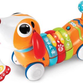 Win Fun Türkçe Konuşan Renkli Köpeğim