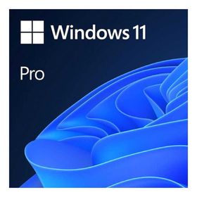 Windows 11 Professional Dijital Lisans FQC-10572 İşletim Sistemi