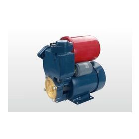 Winpo WNP 226 35 mss 2,4 m3/h 220 V Sıcak Su Hidroforu