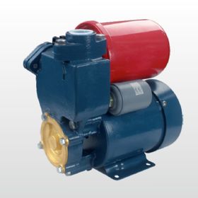 Winpo WNP 226 35 mss 2,4 m3/h 220 V Sıcak Su Hidroforu