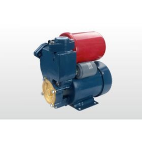 Winpo WNP 226 35 mss 2,4 m3/h 220 V Sıcak Su Hidroforu