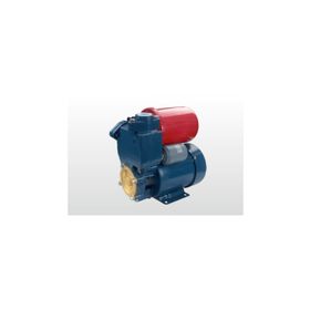 Winpo WNP 226 35 mss 2,4 m3/h 220 V Sıcak Su Hidroforu