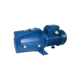 Winpo WNP H 2200 F Flatörlü Drenaj Pompa