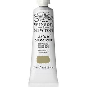 Winsor Newton Artists Davy'S Gray 217 S.2 37 ml Yağlı Boya